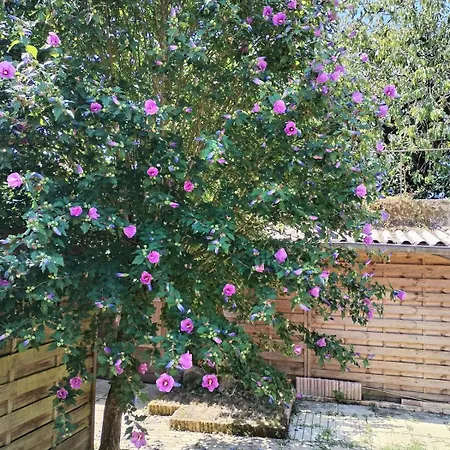 Le Cocon Du Tisserand *