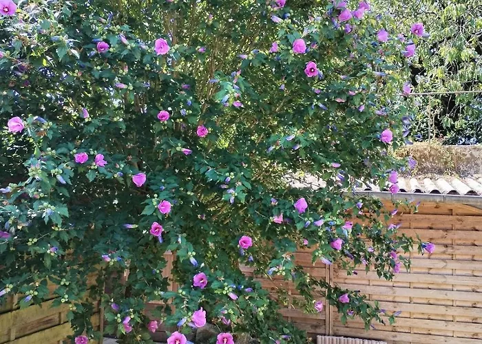 Le Cocon Du Tisserand *